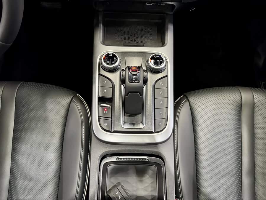 Tank 300 2024 car image #20