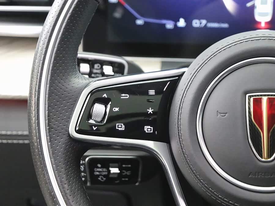 HongQi H9 2020 car image #20