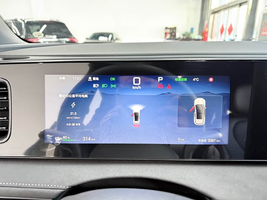 BYD Sea Lion 06 New Energy 2025 car image #20