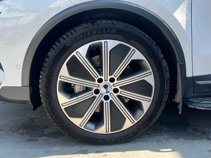 Denza N8 2023 car image #20