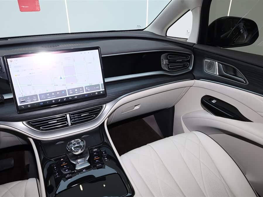 Denza D9 2024 car image #20