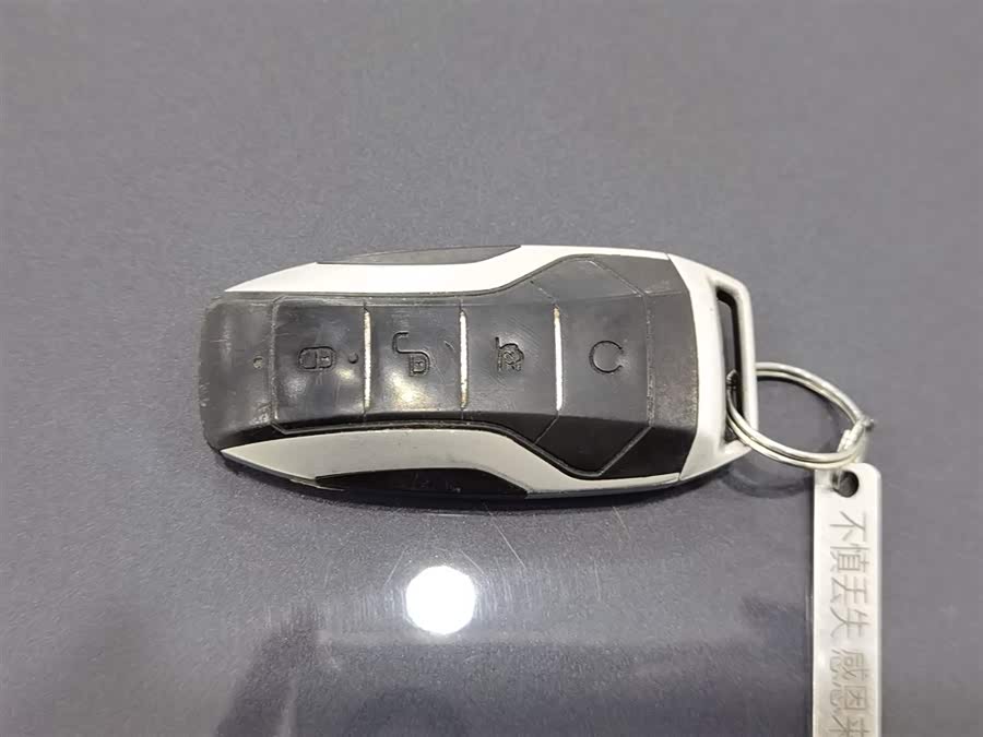 Denza X 2020 imagem de carro #20