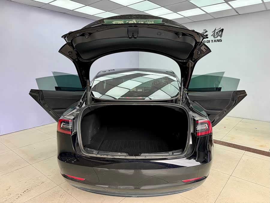 Tesla Model 3 2021 #20 Tesla Model 3 2021 car image #20