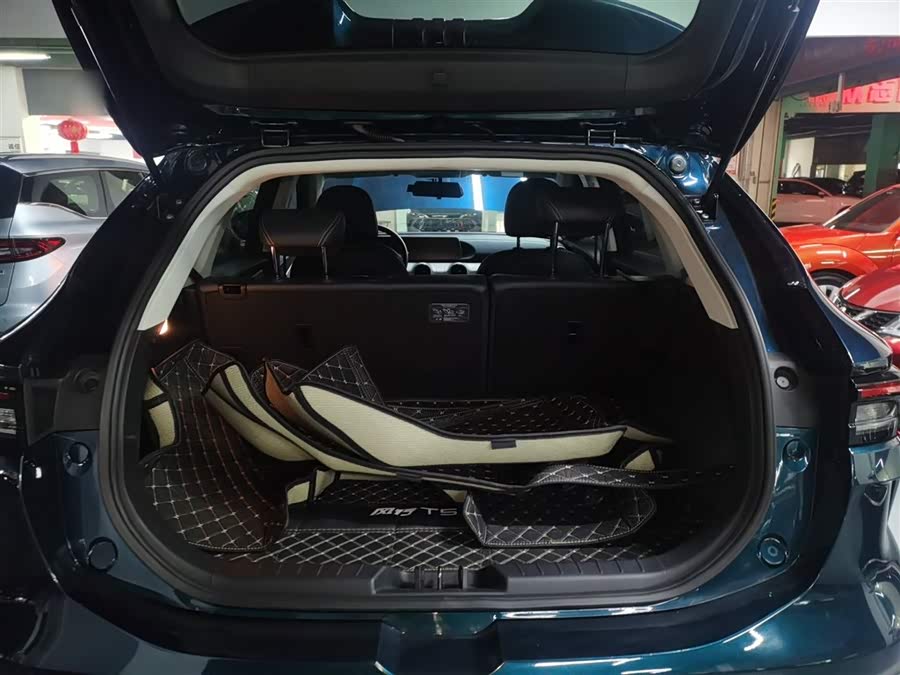 Forthing T5 EVO 2024 car image #20