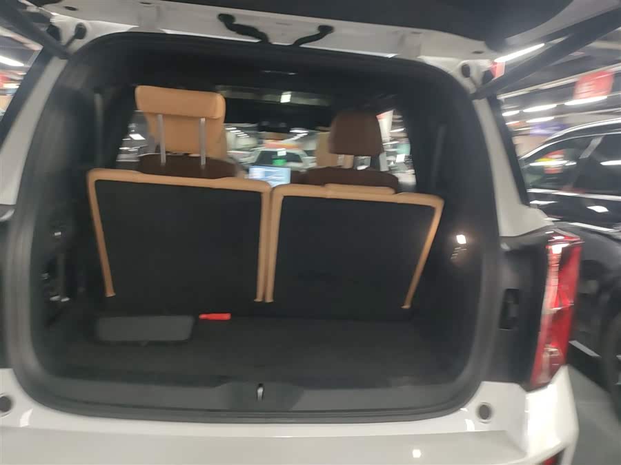 GAC Trumpchi ES9 2024 car image #20