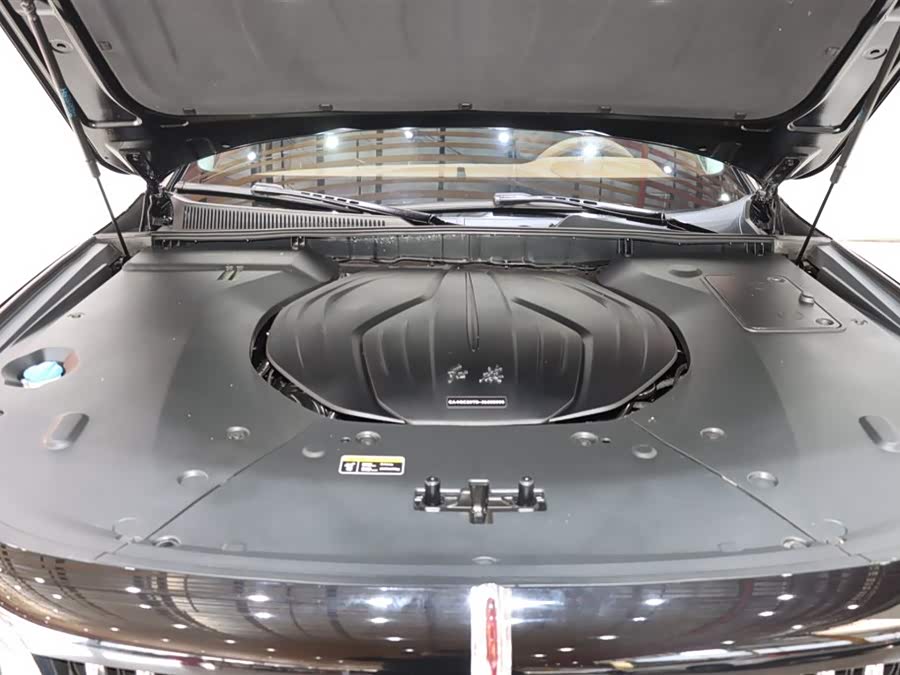 HongQi H9 2023 car image #20