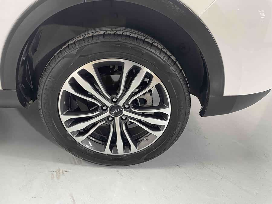 Haval F7 2019 car image #20