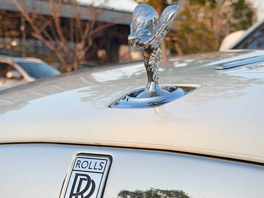 Denza Wraith 2017 car image #20