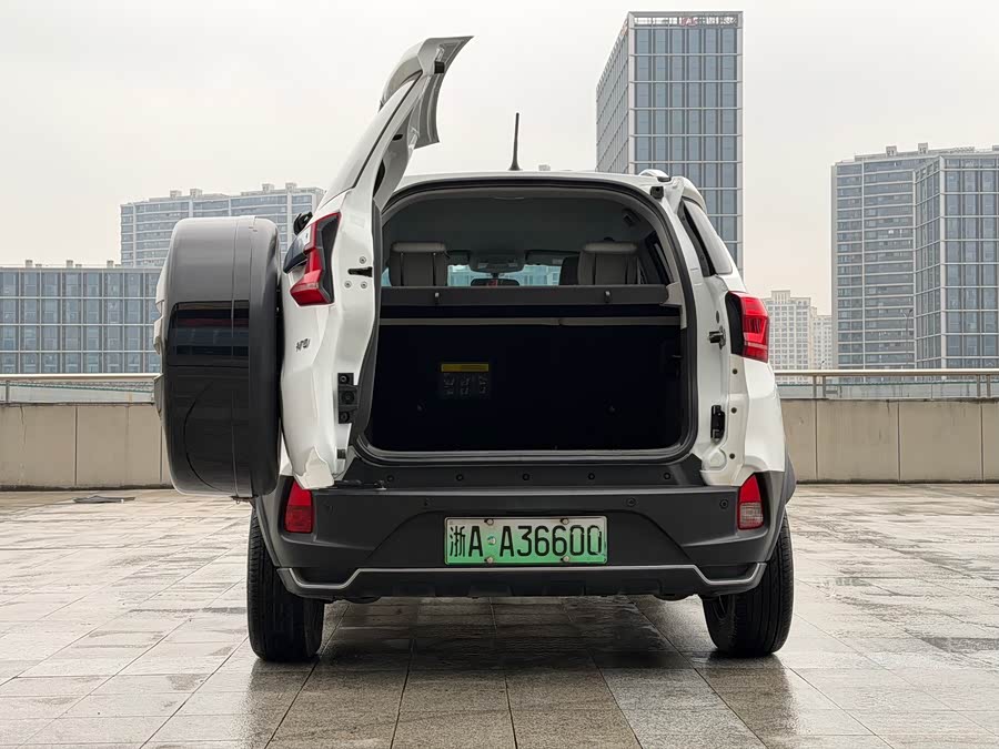 BYD Yuan Pro 2021 car image #20