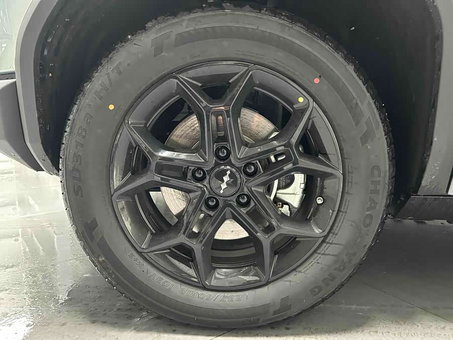 FangChengBao Tiger 3 2025 car image #20