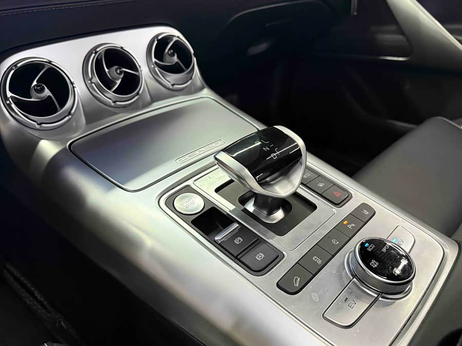 Denza X 2020 car image #20