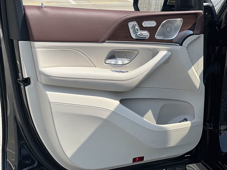 Mercedes-Benz Maybach GLS 2022 car image #20