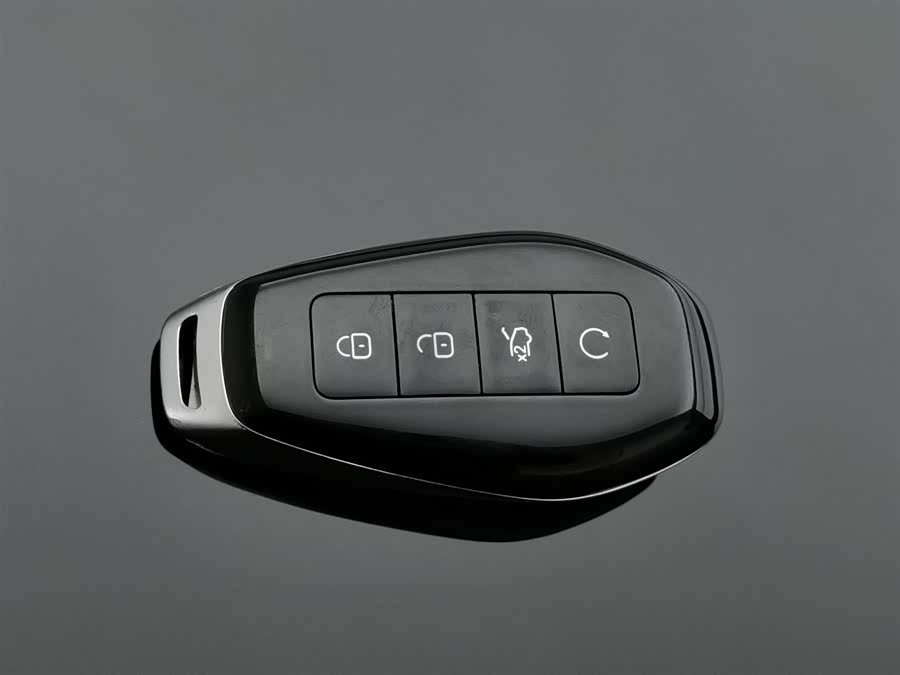 Denza Z9 2024 imagem de carro #20