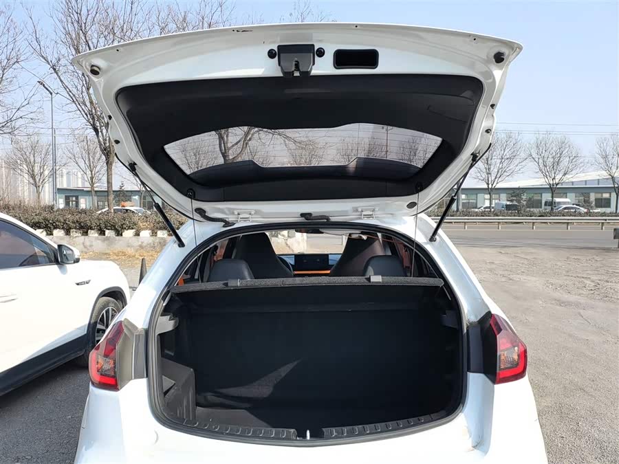 X3 PRO 2023 #20 X3 PRO 2023 car image #20