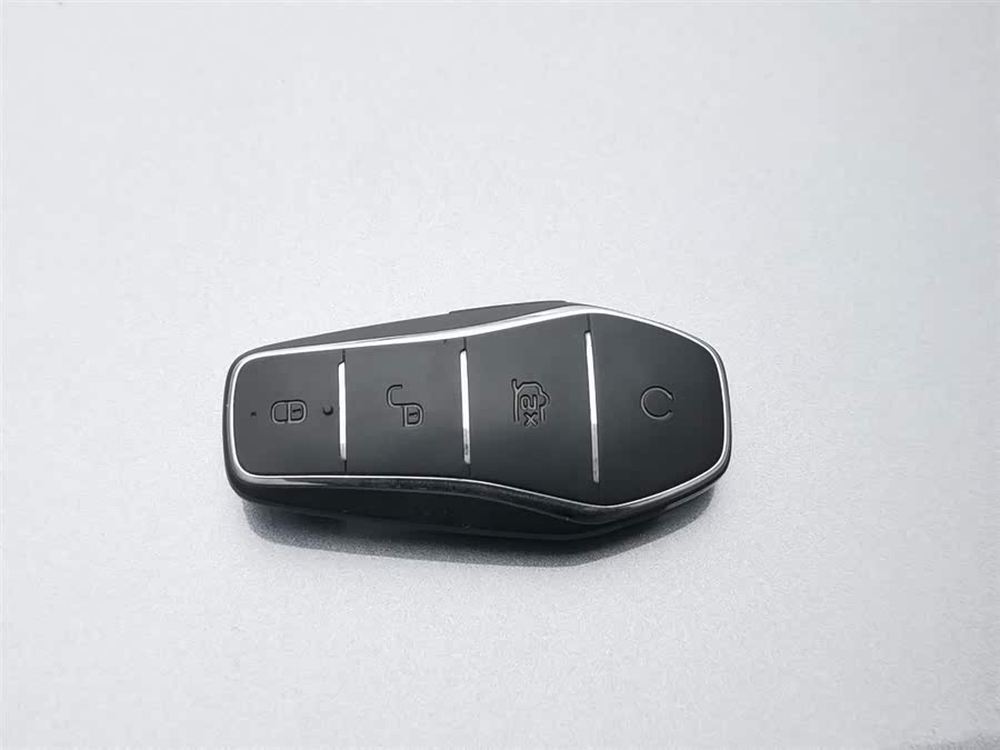 BYD Dolphin 2022 car image #20