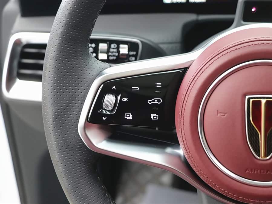 HongQi E-HS9 2023 изображение автомобиля #20