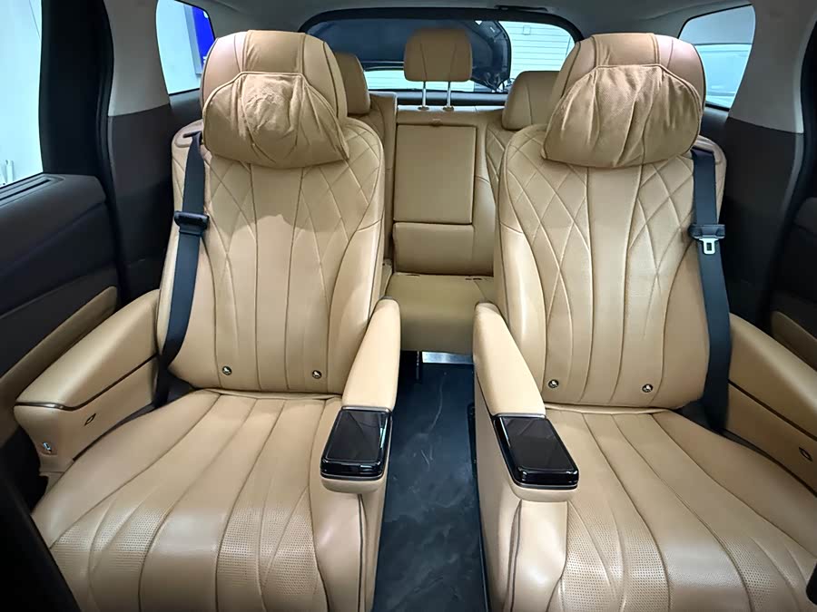 Denza D9 2023 car image #20