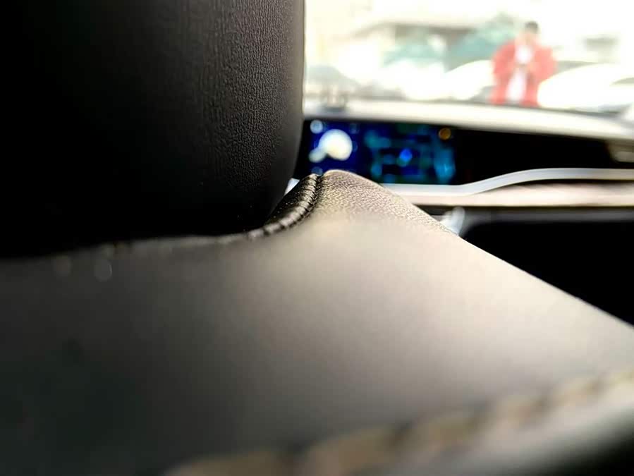 HongQi H9 2023 car image #20