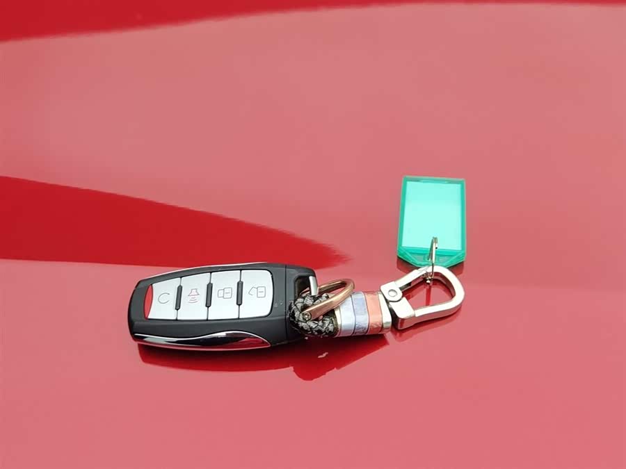 Great Wall Poer 2021 car image #20