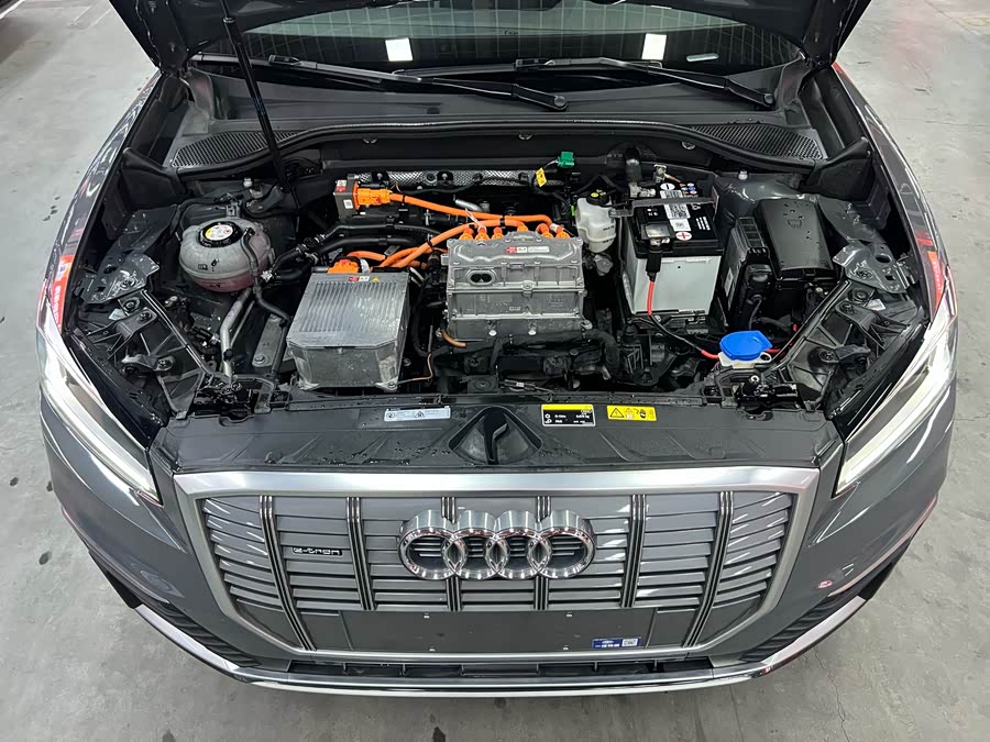 奥迪 奥迪Q2L e-tron 2021 汽车图片 #20