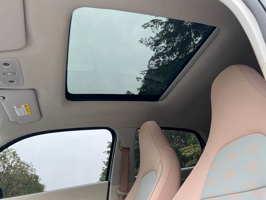 零跑汽车 零跑T03 2023 汽车图片 #20