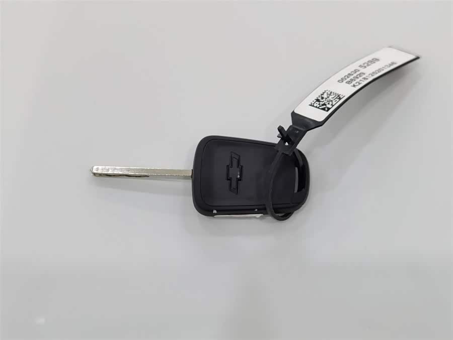 Chevrolet Monza 2020 car image #20