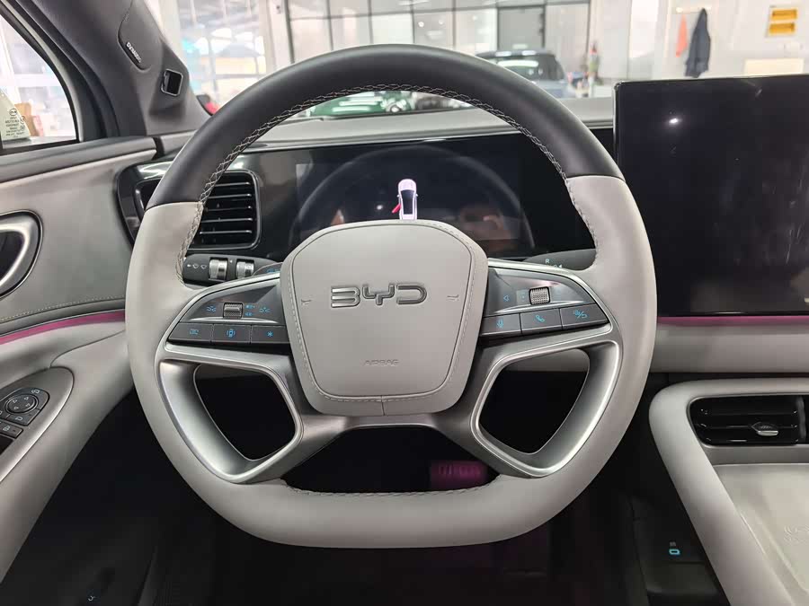 BYD Sea Lion 06 New Energy 2025 car image #20