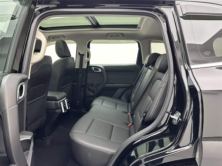 Haval X Dog / Dargo 2023 car image #20