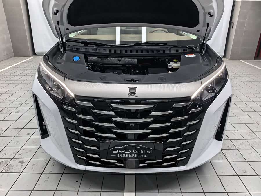 BYD Xia 2024 imagen de coche #20