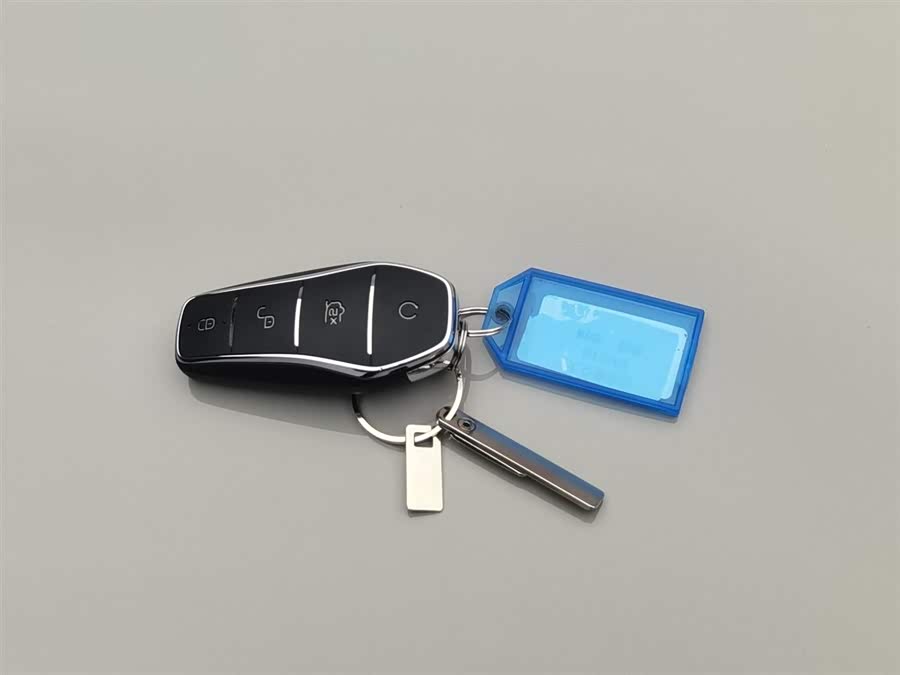BYD Song Plus New Energy 2023 car image #20