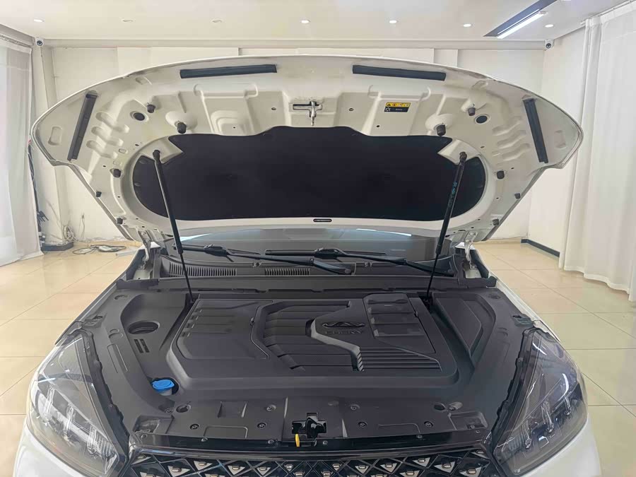 Chery Tiggo 7 2021 car image #20