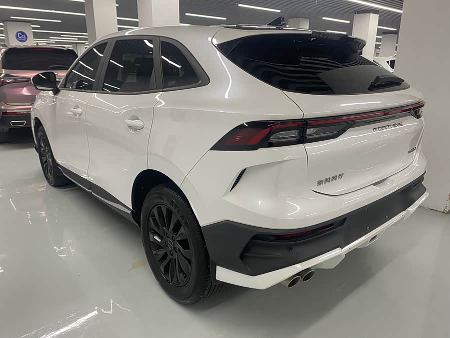 Forthing T5 EVO 2024 immagine di auto #20