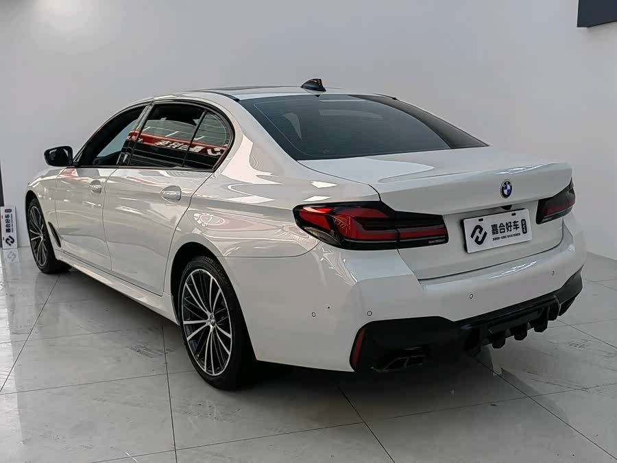 BMW 5 Series 2022 car image #20