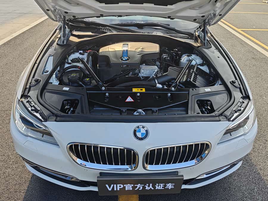BMW 5 Series New Energy 2016 car image #20