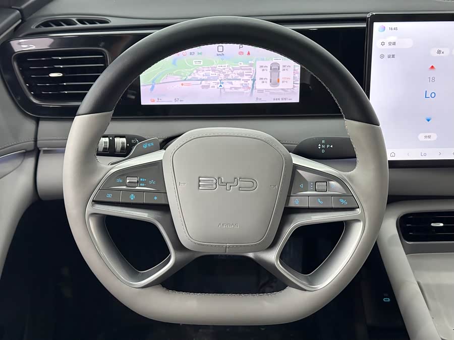 BYD Sea Lion 06 New Energy 2025 car image #20