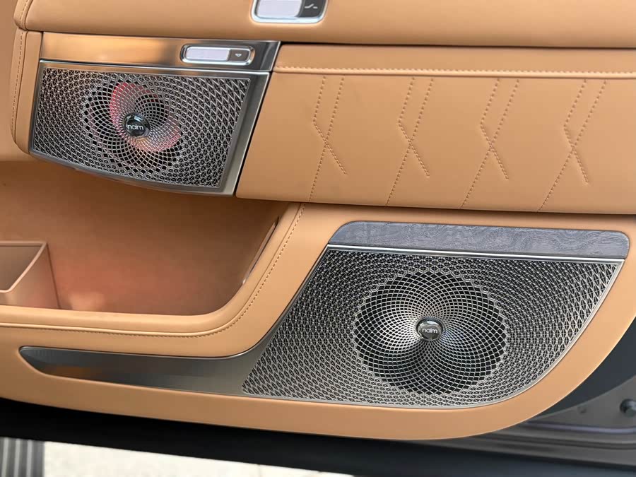 Zeekr 9X 2025 car image #20