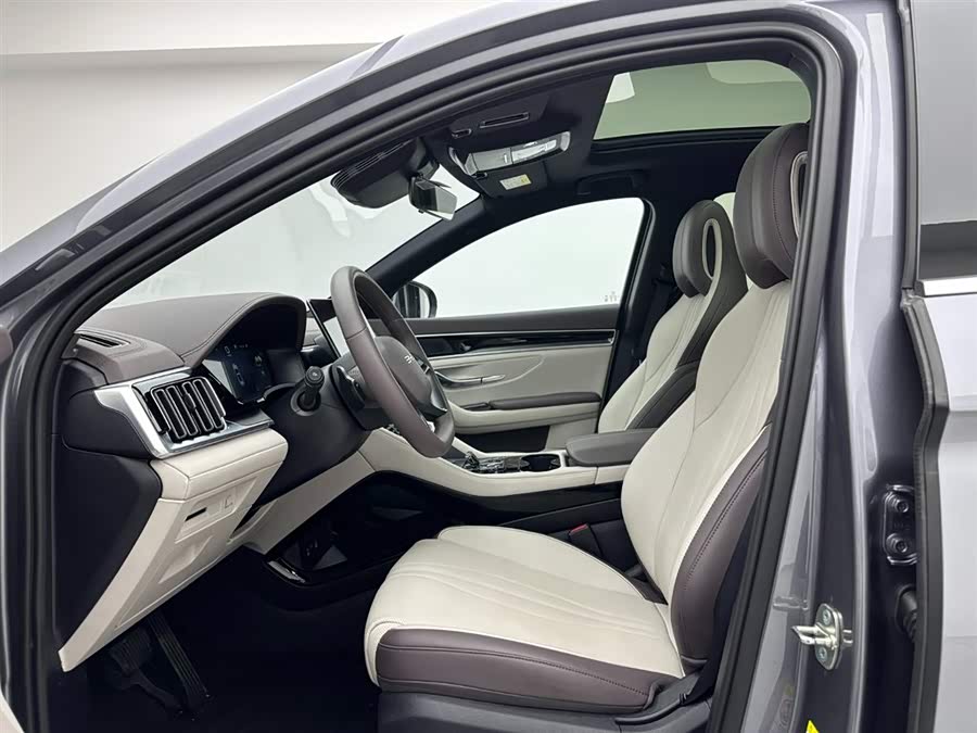 BYD Song Plus New Energy 2025 car image #20