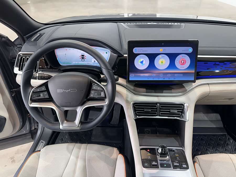 BYD Song Plus New Energy 2024 #20 BYD Song Plus New Energy 2024 car image #20