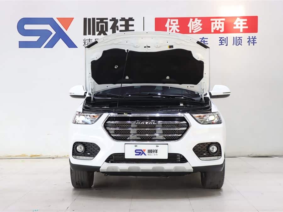 Haval H6 2020 car image #20