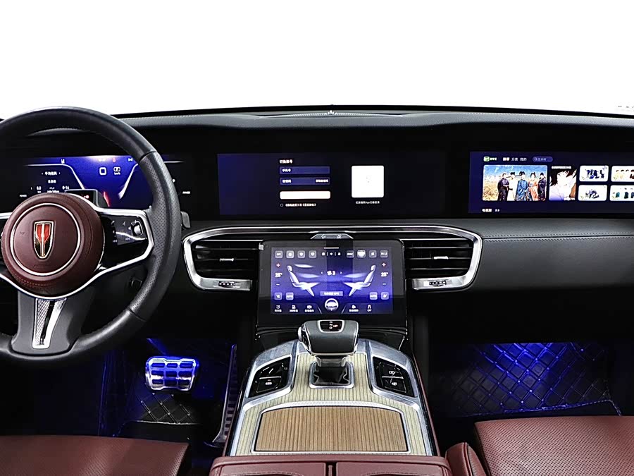 HongQi E-HS9 2023 immagine di auto #20