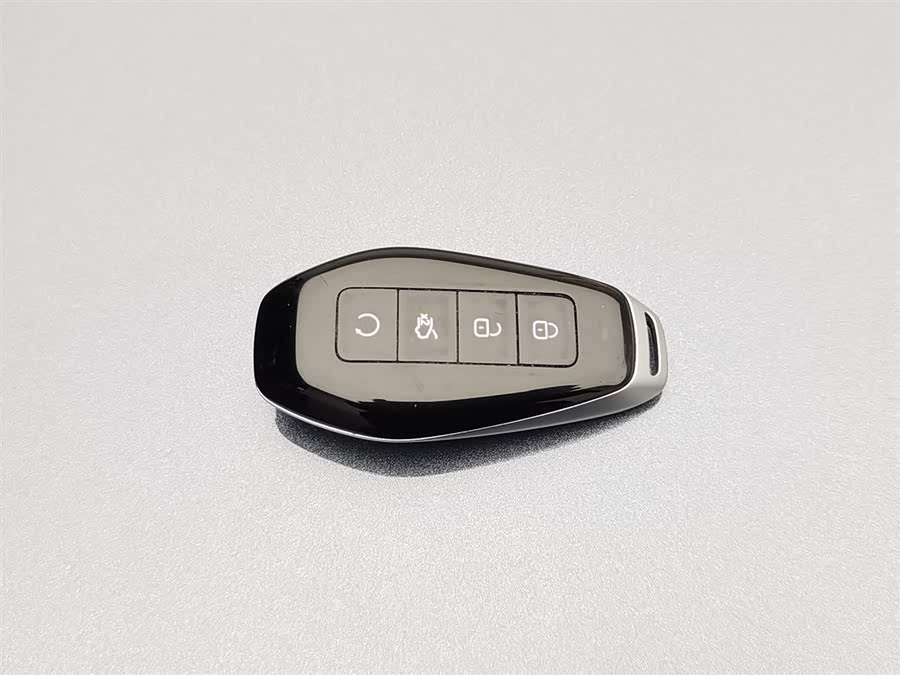 Denza Z9 2024 immagine di auto #20