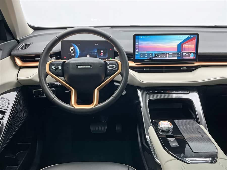 Haval H6 2023 car image #20