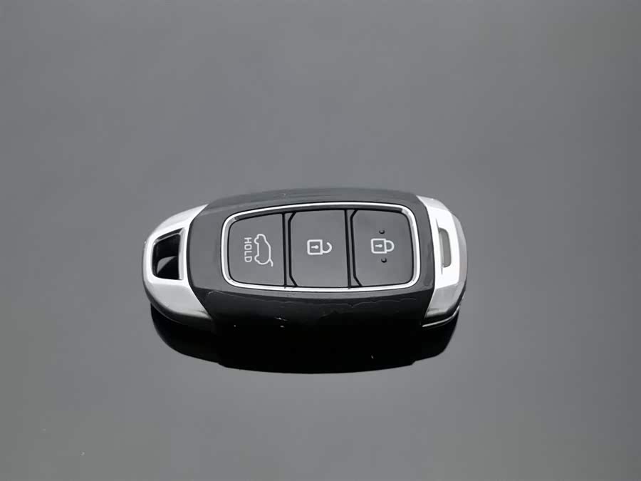 Hyundai Santa Fe 2021 imagen de coche #20