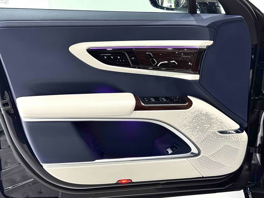 HongQi GuoYa 2024 #20 HongQi GuoYa 2024 car image #20