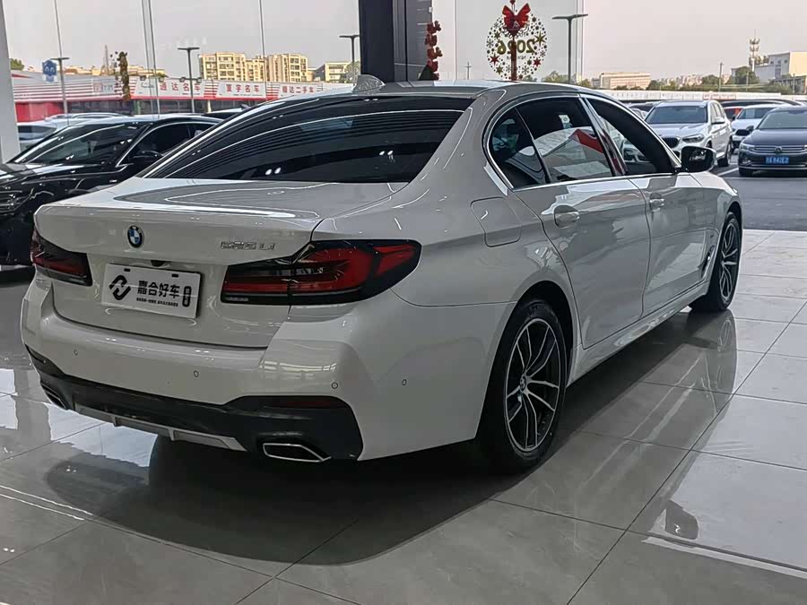 BMW 5 Series 2021 car image #20