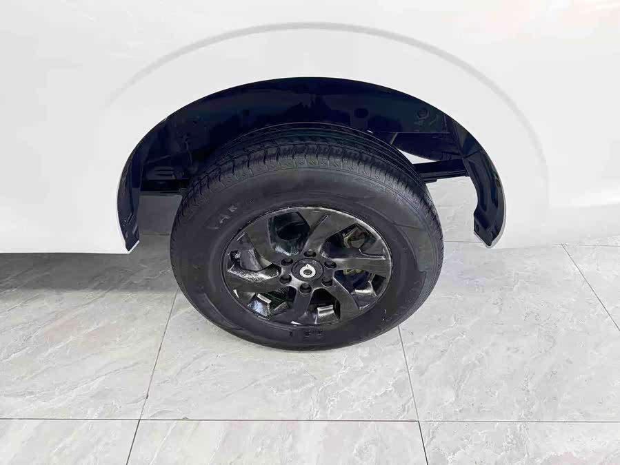 Great Wall Poer 2022 car image #20