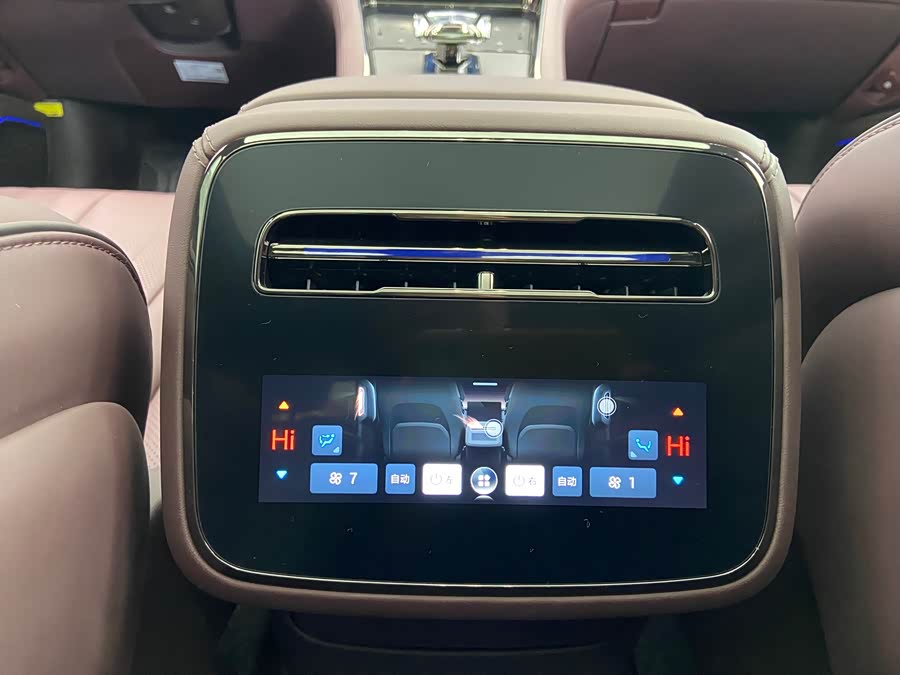 Denza Z9GT 2024 immagine di auto #20