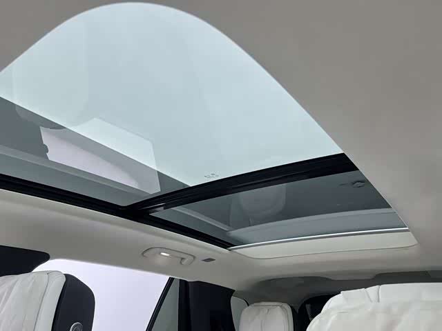 HongQi E-HS9 2023 car image #20