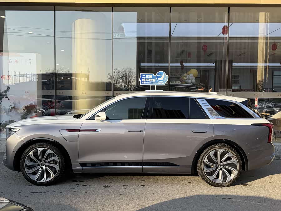 HongQi E-HS9 2022 imagen de coche #20