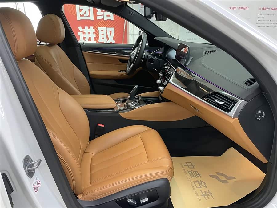 BMW 5 Series 2019 car image #20